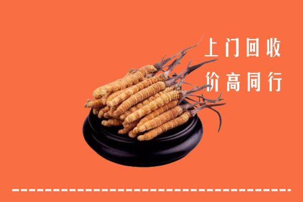 高价求购：天涯区回收散虫草