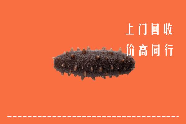 高价求购：天涯区回收海参
