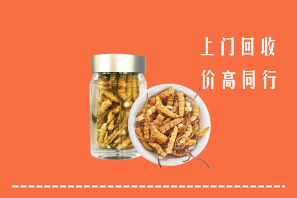 天涯区回收冬虫夏草