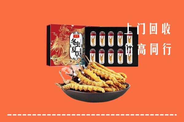 天涯区回收虫草